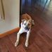 Jarrod Ray - Facebook