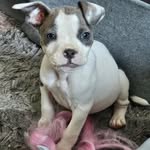 jarrod rogers - @jarrod302024 - Instagram