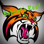 Jarrod Ryan - @bobcats_reef - Instagram