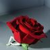 Jarrod Solomon - Facebook