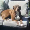 Jarrod Steele749 - @horseystick - TikTok