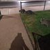 Jarrod G Vincent - Facebook
