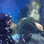 Jarrod Watson - @jrad_87 - Instagram