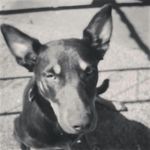 Jarrod Watson - @jarrodwatson3774 - Instagram