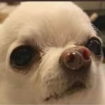Jayy_B - @boyd.jarvis.5 - Instagram