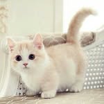 Jarvis Chen - @jarvis.chen.581 - Instagram