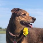 Jarvis Evans - @peachesandjarvis - Instagram
