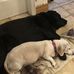 Adrienne Jarvis-Gates - Facebook