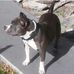 Jarvis Gray - Facebook