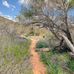 Jarvis Hill Lookout - Facebook