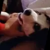 Jarvis Hunt - @jarvis.hunt0 - TikTok