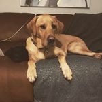 Murray & Jarvis - @murray_jarvis_adventures - Instagram