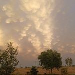 Jasbir Brar - @jasbirbrar42 - Instagram