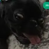 marshsmyvpp - @jase.marshall2 - TikTok