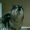 jasetaylor5810 - @jasetaylor5810 - TikTok