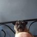 Jasen Lewis - Facebook