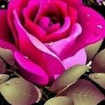 Jasjit Kaur - @jasjit.kaur.52090 - Instagram