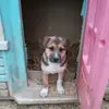 Jasmine Abell - @jasmine.abell - TikTok