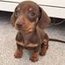Jasmin Andrews - Facebook