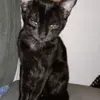 jasminbautista543 - @jasminbautista543 - TikTok