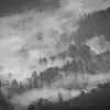 Jasmin Browning - @jasminbrowning369 - TikTok