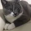 Jasmin_Chan - @Jasmin_Chan - TikTok
