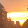 🖤JasminChan❤️ - @..jasmin2 - TikTok