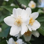 Jasmin Christensen - @jasmin.christensen.925 - Instagram