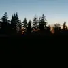 jasminestes917 - @jasminestes917 - TikTok