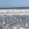 💜 𝒥𝒶𝓏𝓏𝓎𝒷ℯ𝒶𝓇 💜 - @jasmine_garrett - TikTok
