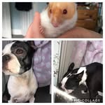 Jasmin+george+goldie😇😇😍🥰🥰 - @jazzygeorgeeegoldie - Instagram