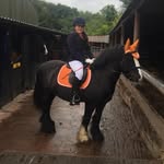 Jasmin graham - @equineobsession.jg - Instagram