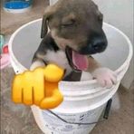 Jasmin Haro Hernandez - Facebook