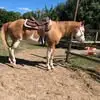 Jasmin Harvey - @jasmin.harvey5 - TikTok