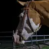 Jazzspazz92 - @jasminharvey278 - TikTok