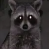 Jasmin_howell24 - @jasmin_howell24 - TikTok