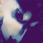 jasmin ibrahim - @jasminibrahim40 - Instagram