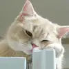 Jasmin Ibrahim - @jasminibrahim75 - TikTok