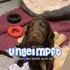 jasminkleint1991 - @jasminkleint1991 - TikTok