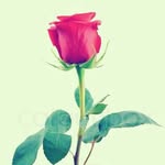 Jasmin mirza - @singh.ranu0293 - Instagram