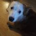 Jasmine Olson - Facebook