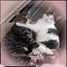 Jazmin Olson - Facebook