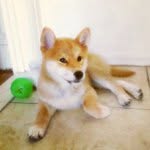 Jasmin pace - @avakinn - Instagram