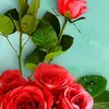 Jasmin Rain - @jasminrain0 - TikTok