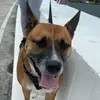 jasminrain827 - @bolty1212120 - TikTok