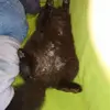 Jasmin Riddle - @jasminriddle02 - TikTok