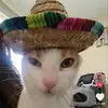 Jasmin Rios - @jasminrios15 - TikTok
