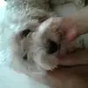 jasmin robledo - @jasminrobledo - TikTok