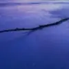 Saguaro - @jasminrobledo_ - TikTok