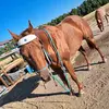 Jasmin Robles - @bur...rodeo - TikTok